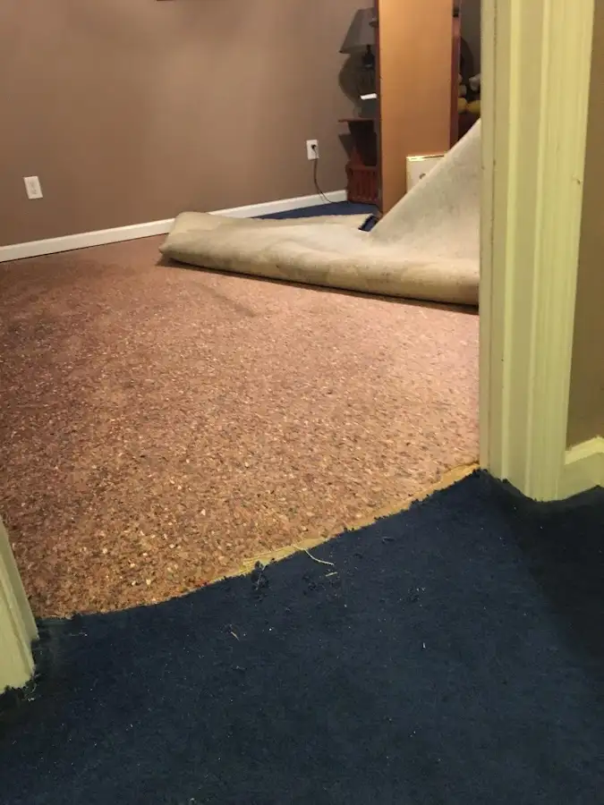 Carpet pad removal revealing water damage during Drying & Dehumidification in Mount Olive