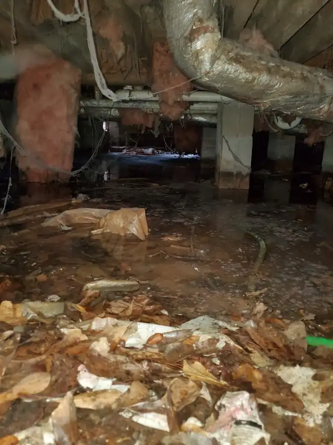 Crawl space flood assessment for Leak Detection & Repair in Mount Olive