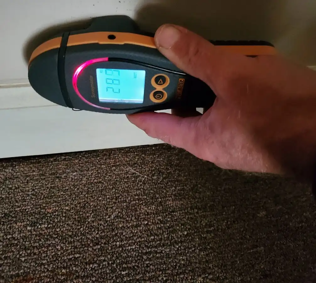Moisture detection at baseboard during Mold Inspection & Testing in Mount Olive